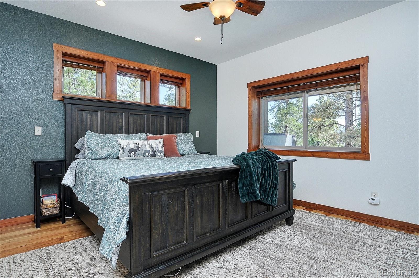 MLS Image #14 for 30220  columbia point,buena vista, Colorado