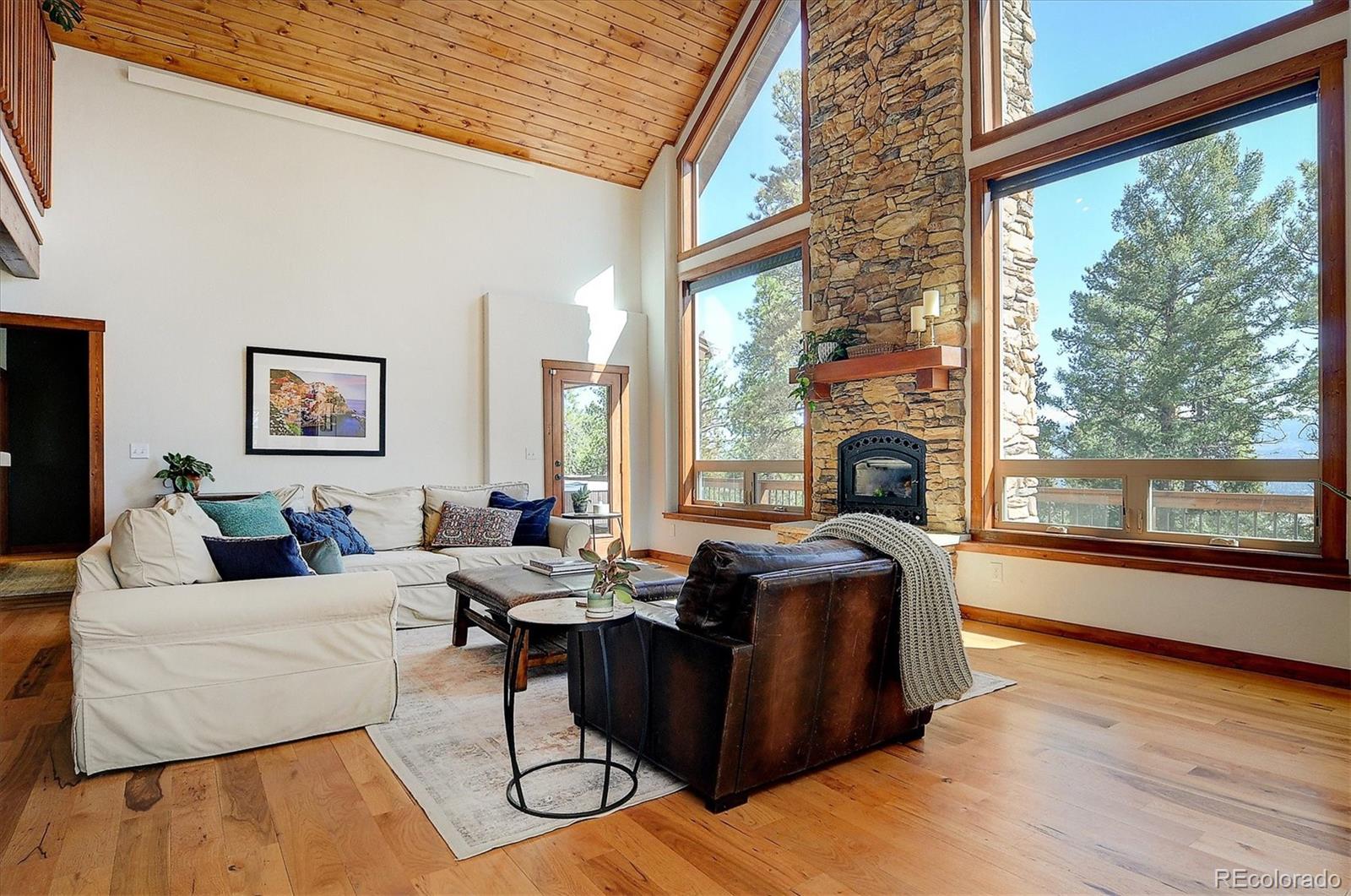 MLS Image #3 for 30220  columbia point,buena vista, Colorado