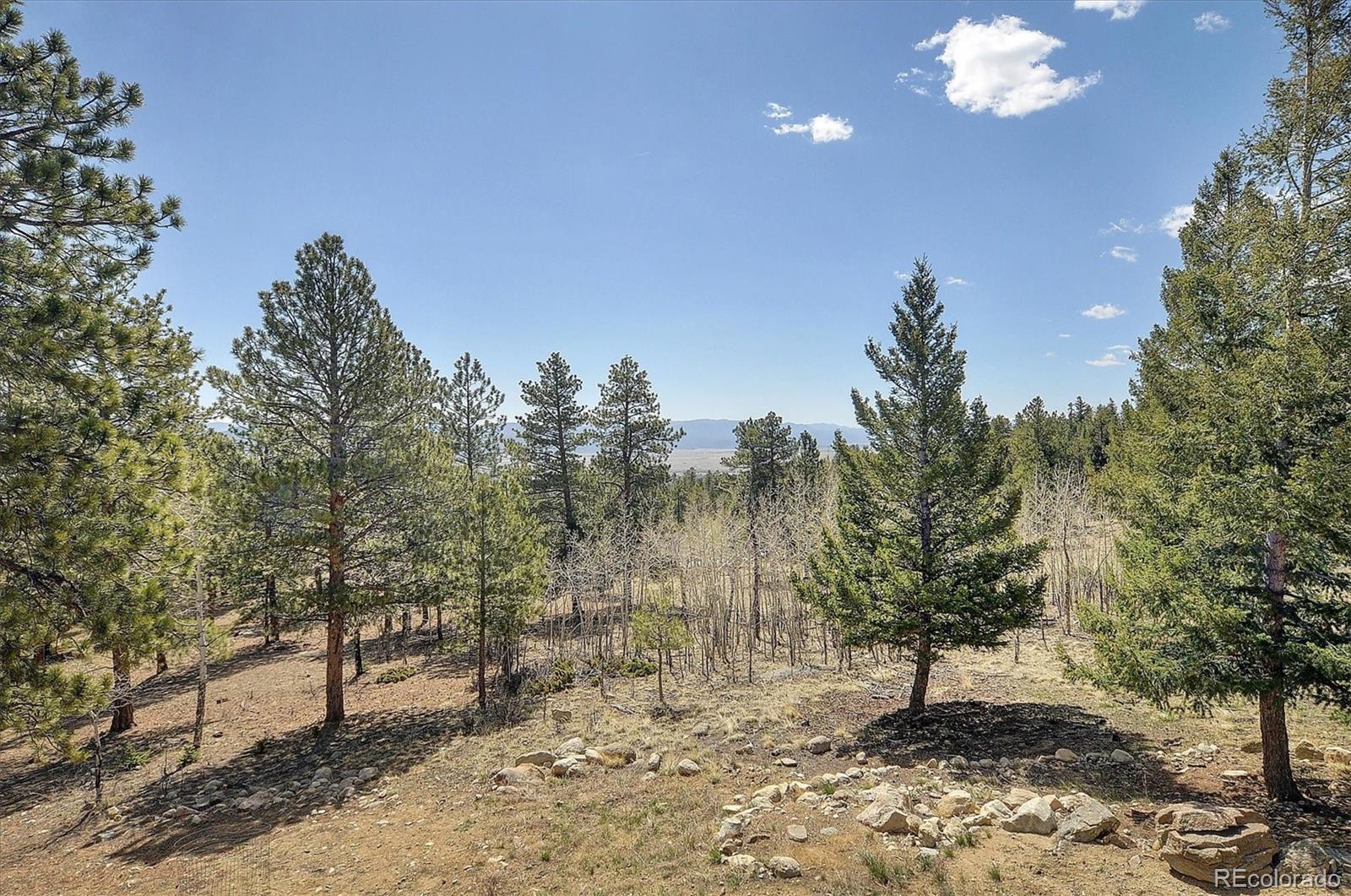 MLS Image #37 for 30220  columbia point,buena vista, Colorado