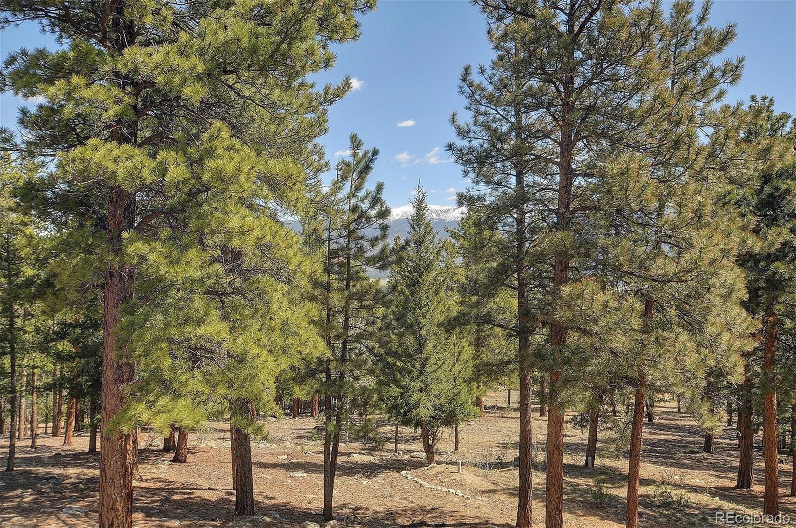 MLS Image #38 for 30220  columbia point,buena vista, Colorado