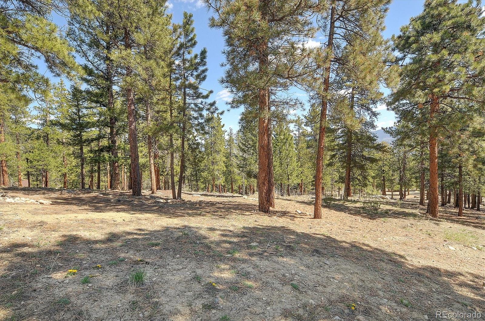 MLS Image #39 for 30220  columbia point,buena vista, Colorado