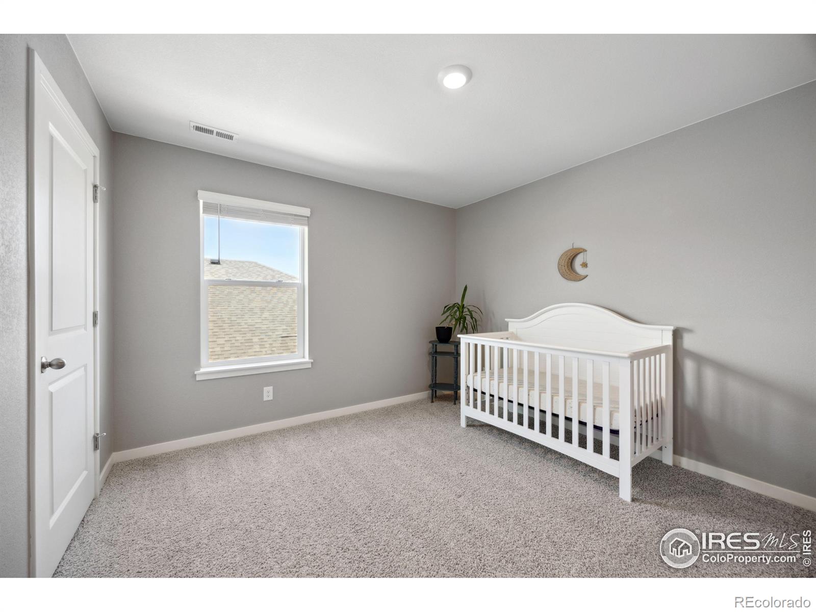 MLS Image #29 for 14640  guernsey drive,mead, Colorado