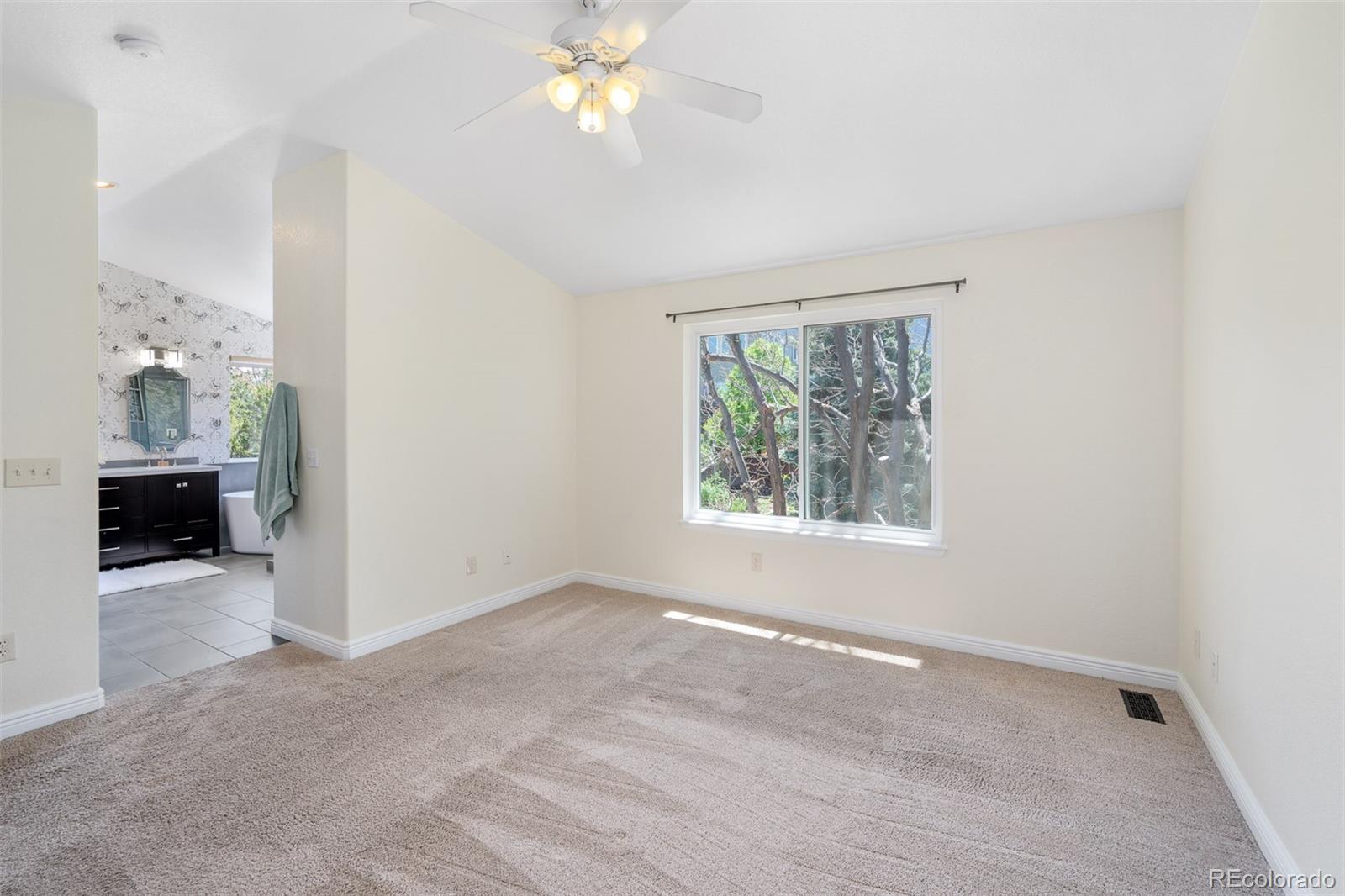 MLS Image #20 for 3314  astorbrook circle,highlands ranch, Colorado