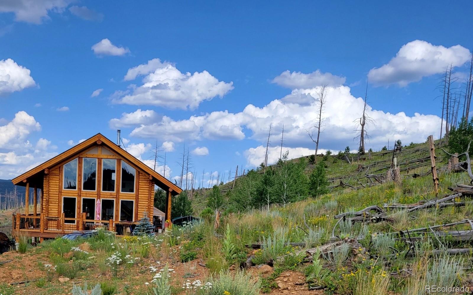 MLS Image #0 for 14077 s state highway 67 ,woodland park, Colorado
