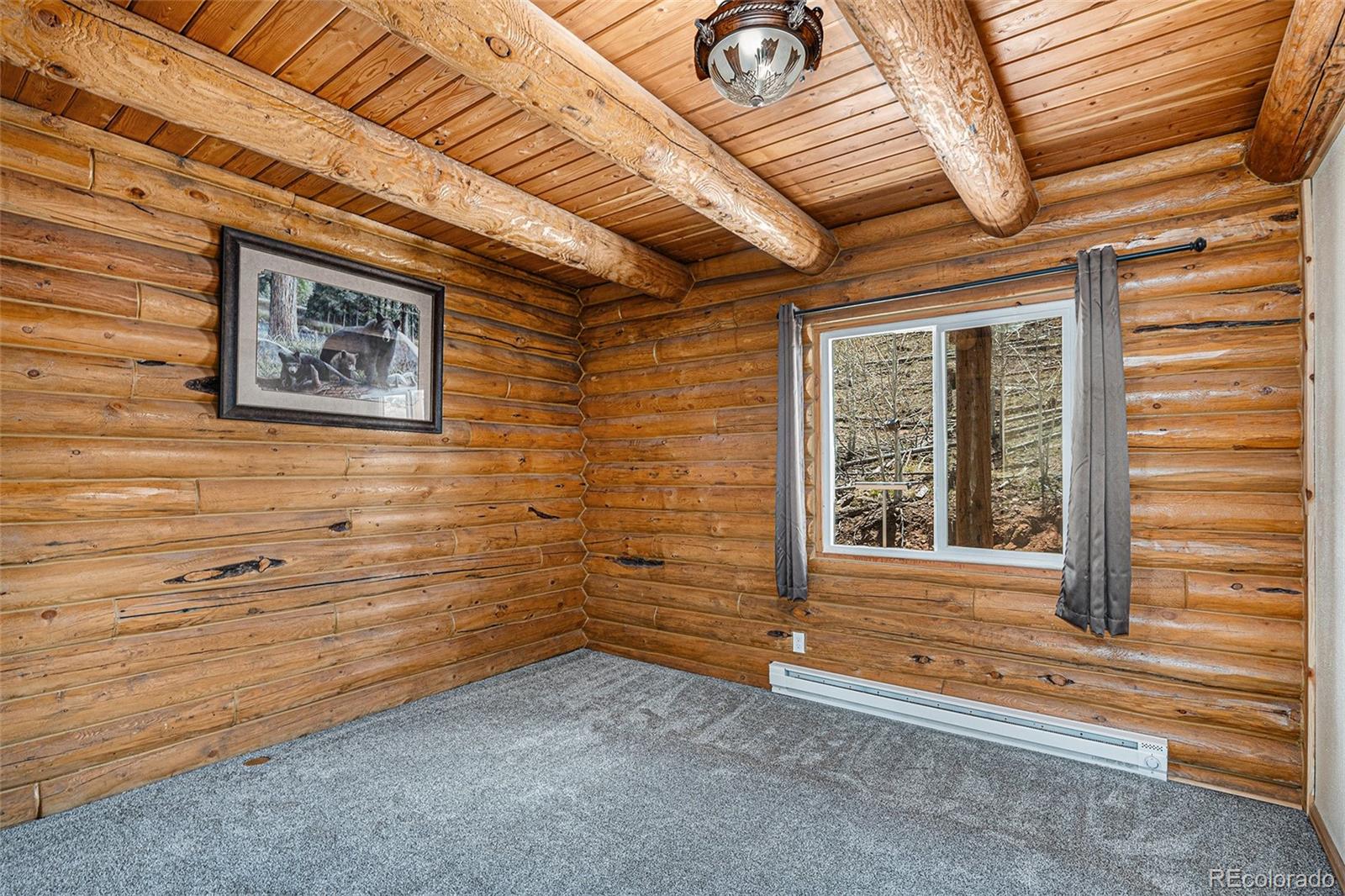 MLS Image #19 for 14077 s state highway 67 ,woodland park, Colorado
