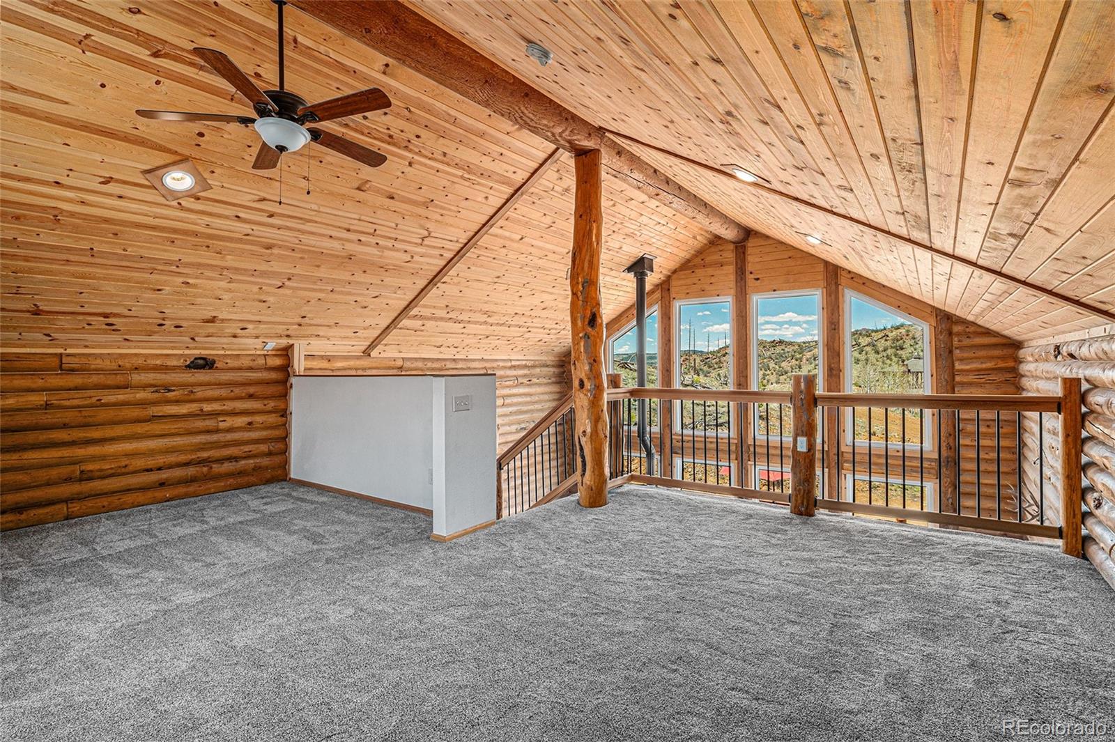 MLS Image #24 for 14077 s state highway 67 ,woodland park, Colorado