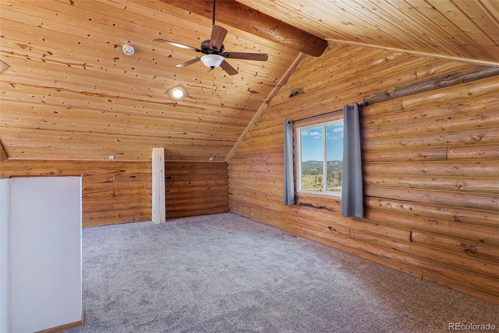 MLS Image #27 for 14077 s state highway 67 ,woodland park, Colorado
