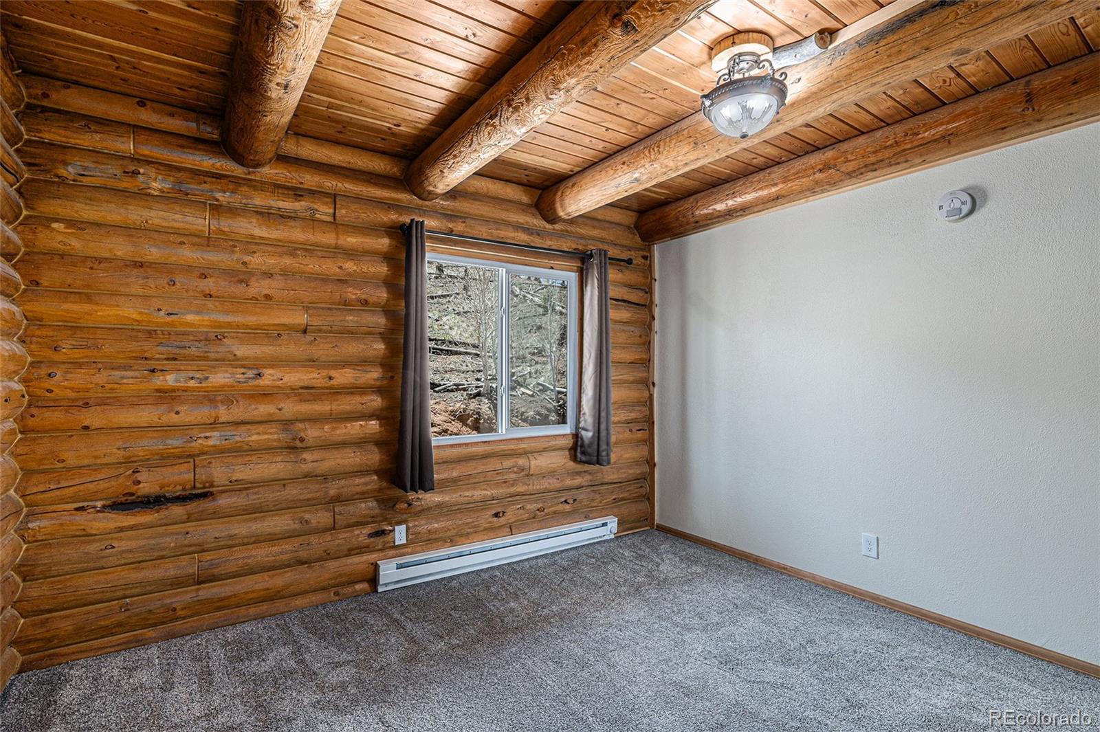 MLS Image #28 for 14077 s state highway 67 ,woodland park, Colorado