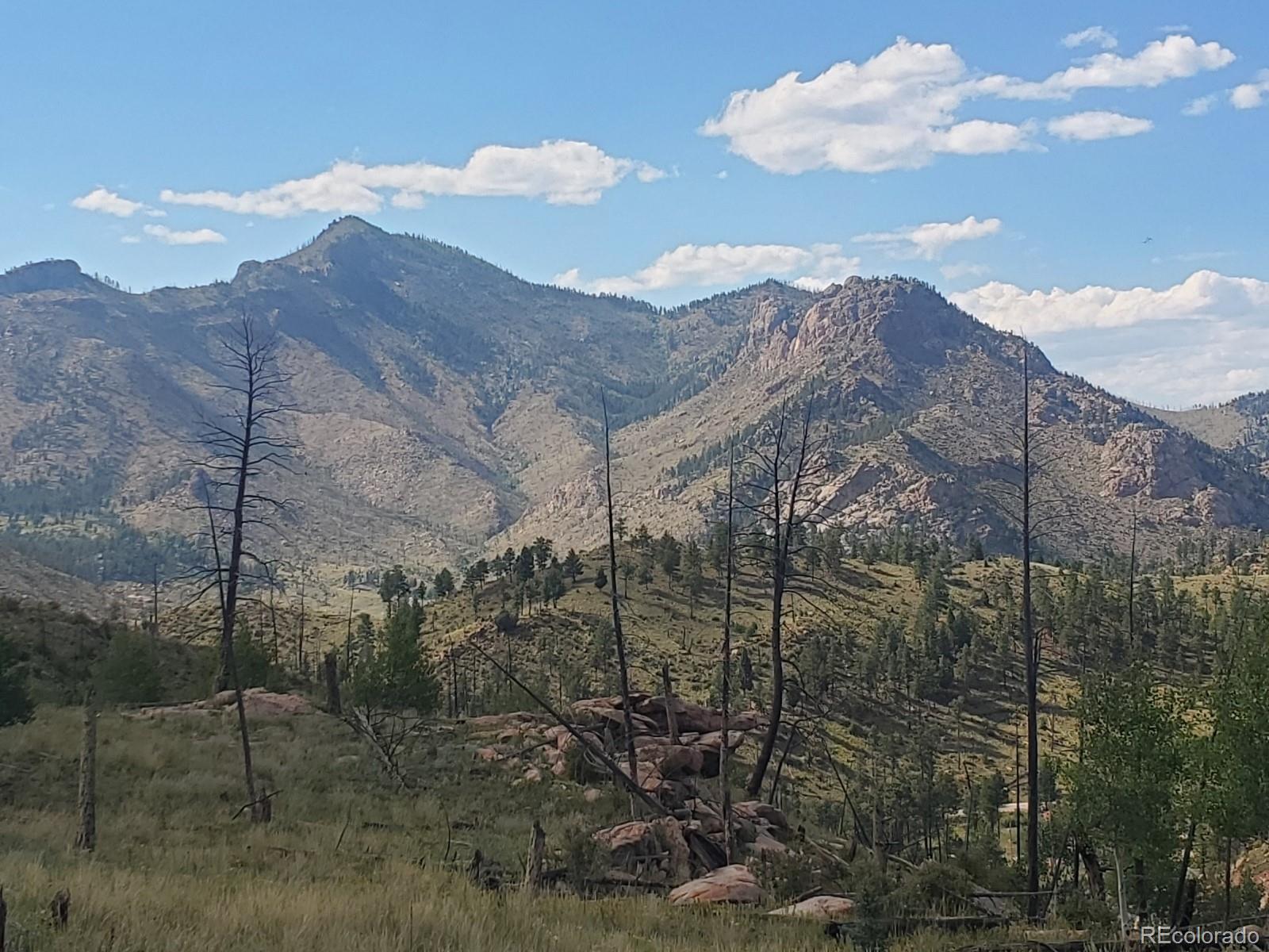 MLS Image #35 for 14077 s state highway 67 ,woodland park, Colorado
