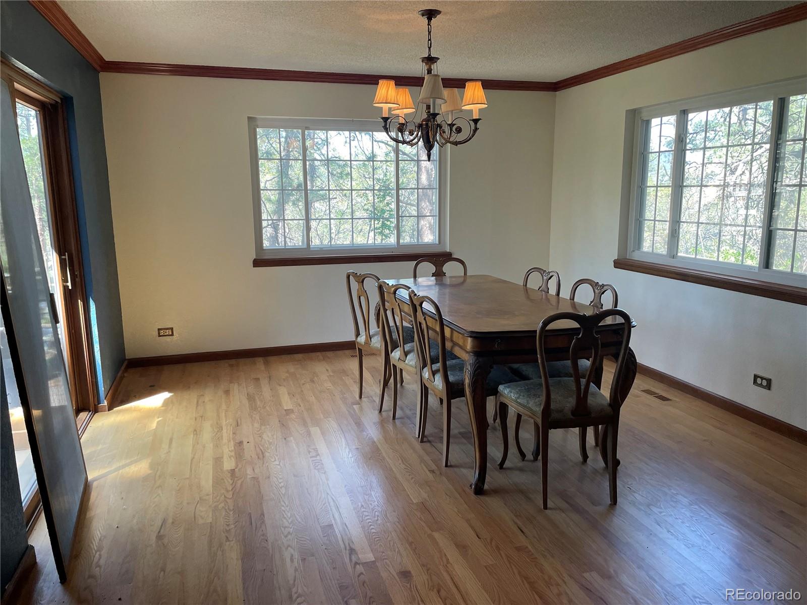 MLS Image #3 for 2045  pine wood road,sedalia, Colorado