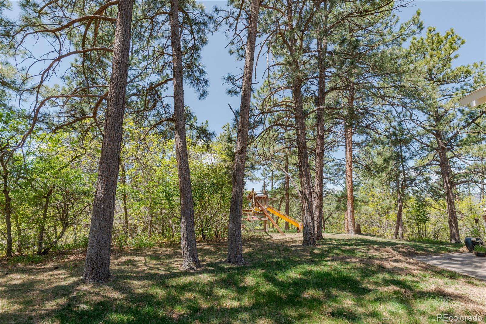 MLS Image #32 for 2045  pine wood road,sedalia, Colorado