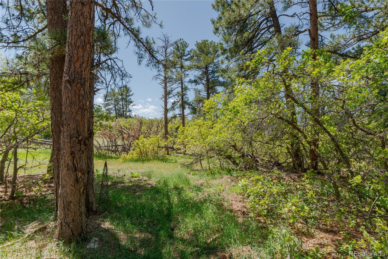 MLS Image #33 for 2045  pine wood road,sedalia, Colorado