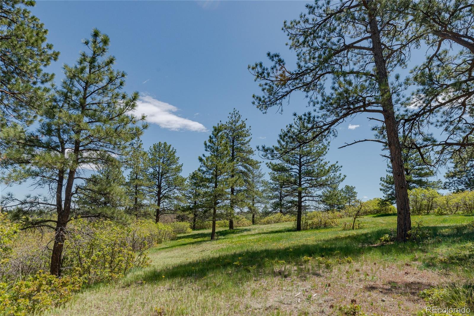 MLS Image #34 for 2045  pine wood road,sedalia, Colorado