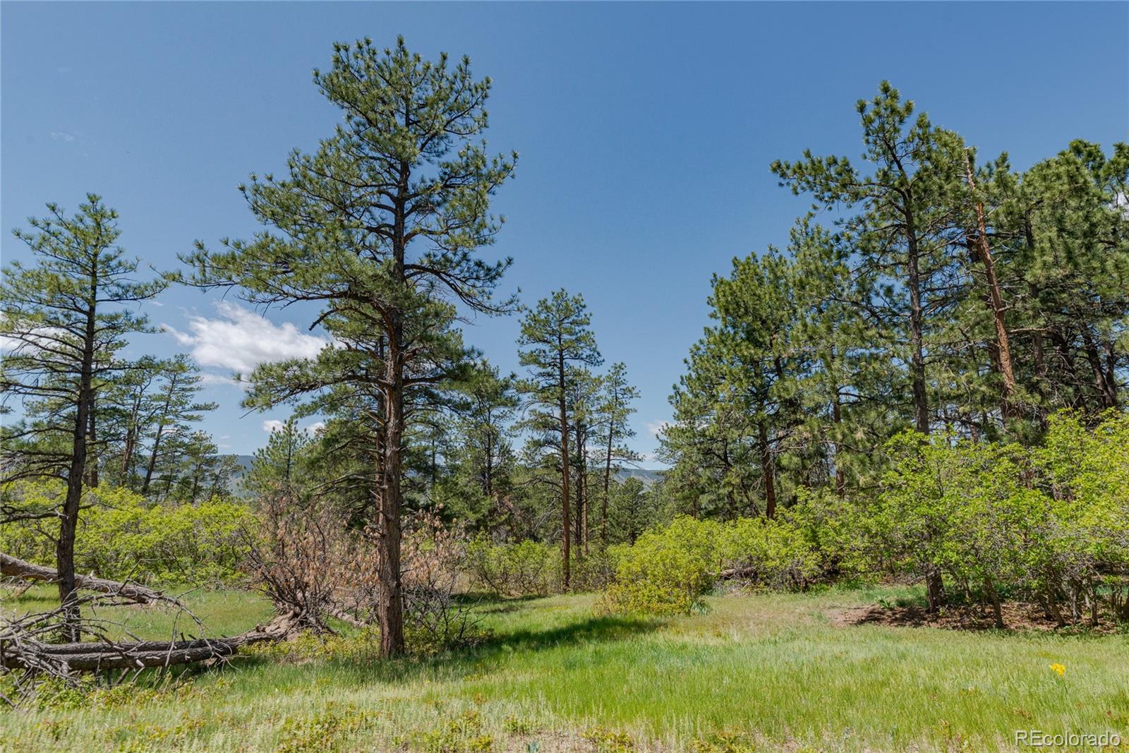 MLS Image #35 for 2045  pine wood road,sedalia, Colorado