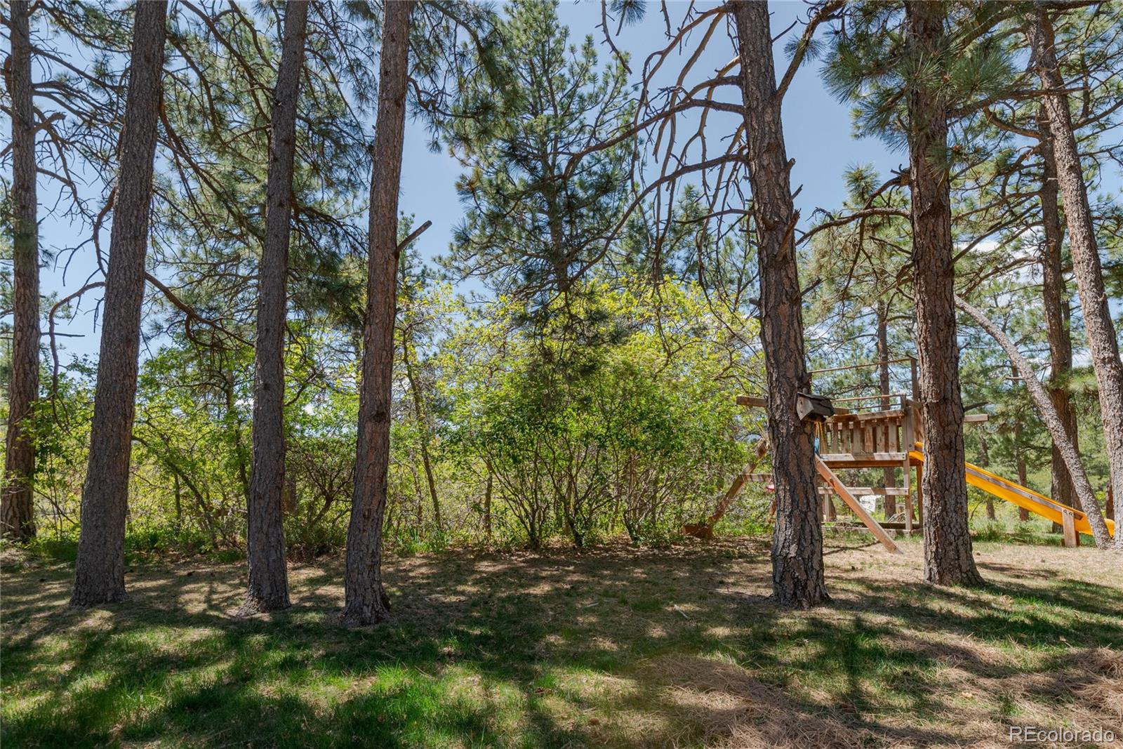MLS Image #37 for 2045  pine wood road,sedalia, Colorado