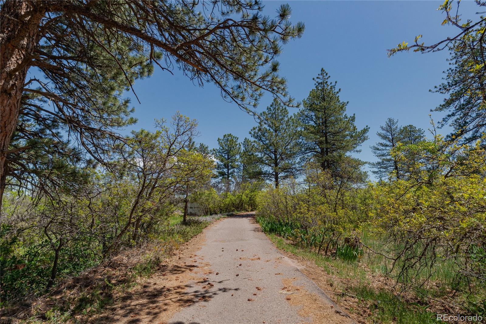 MLS Image #39 for 2045  pine wood road,sedalia, Colorado
