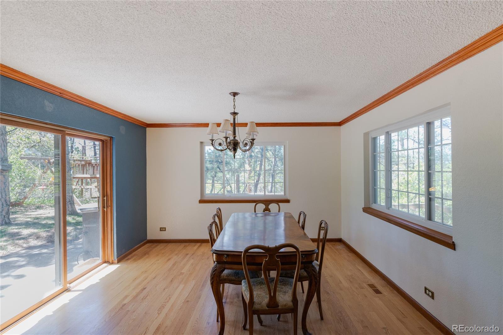 MLS Image #7 for 2045  pine wood road,sedalia, Colorado