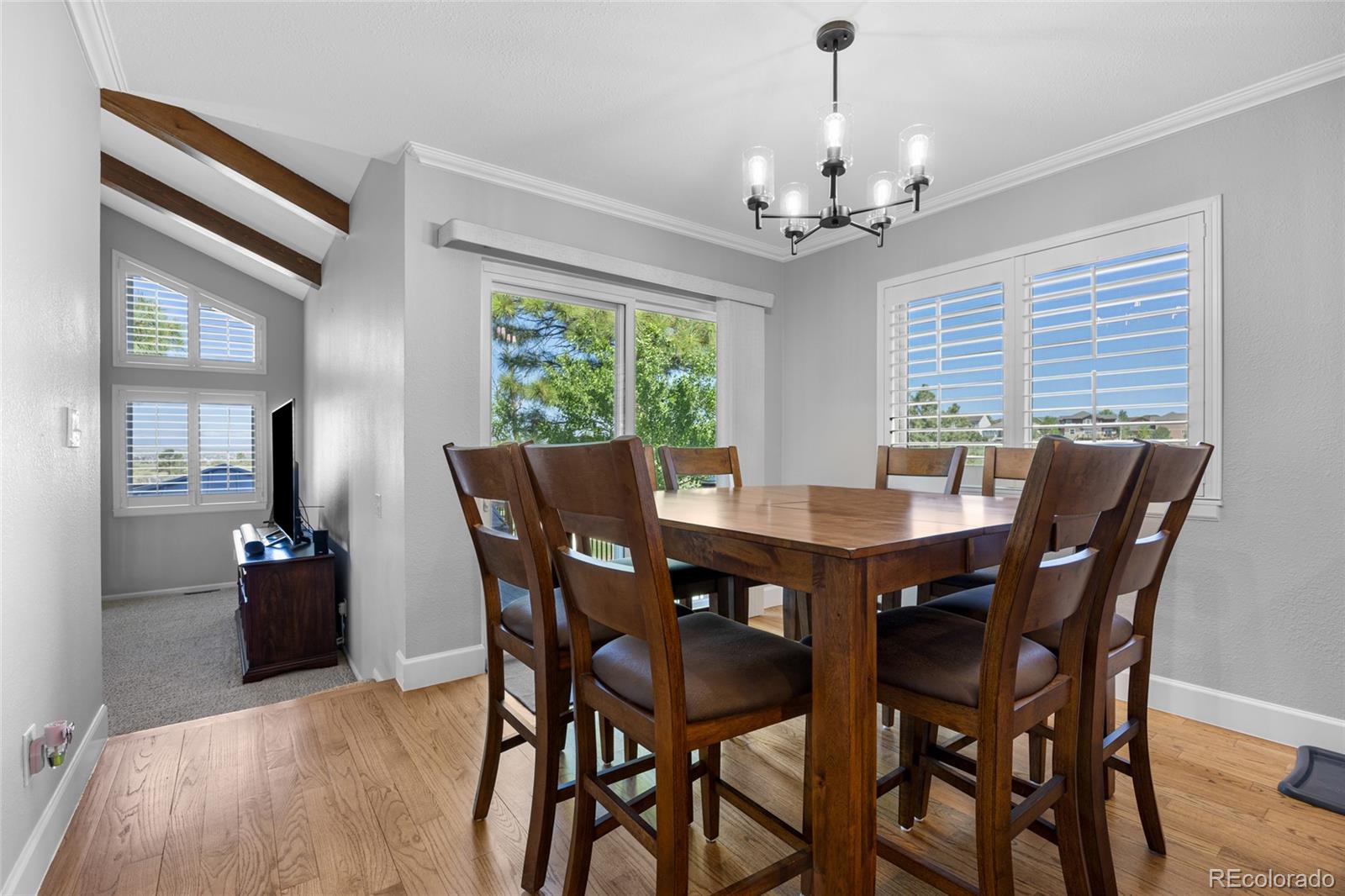 MLS Image #13 for 9025  rocky mountain lane,parker, Colorado