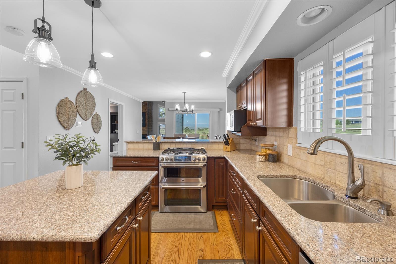 MLS Image #14 for 9025  rocky mountain lane,parker, Colorado