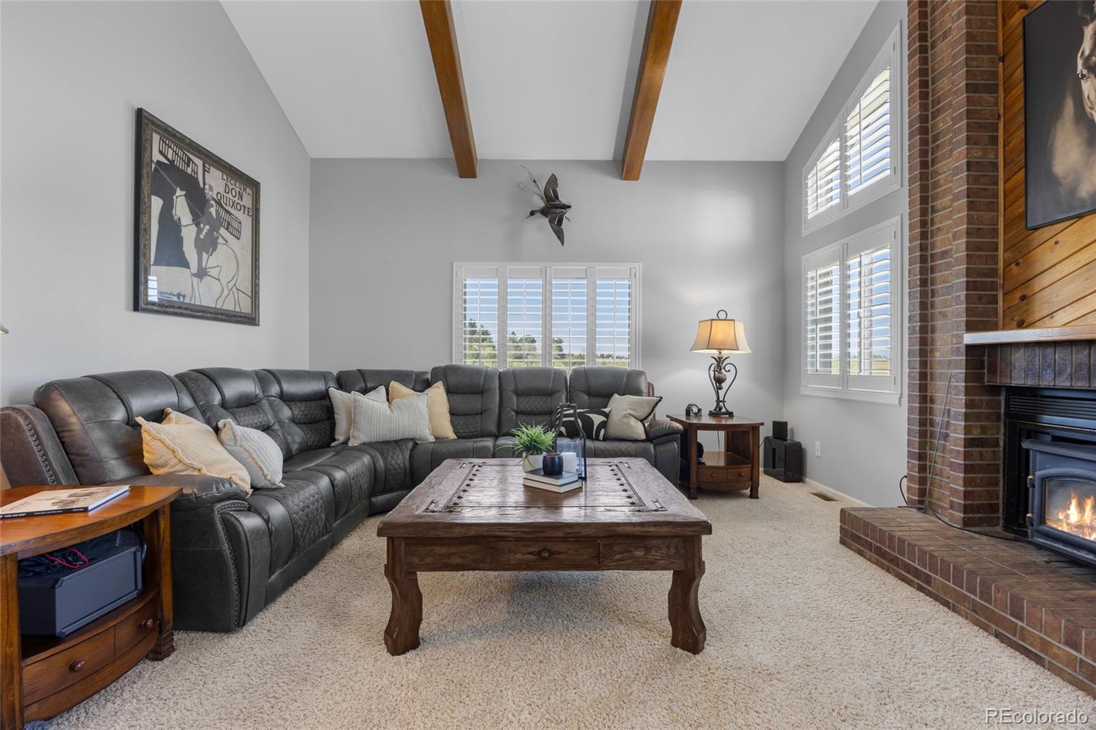 MLS Image #23 for 9025  rocky mountain lane,parker, Colorado