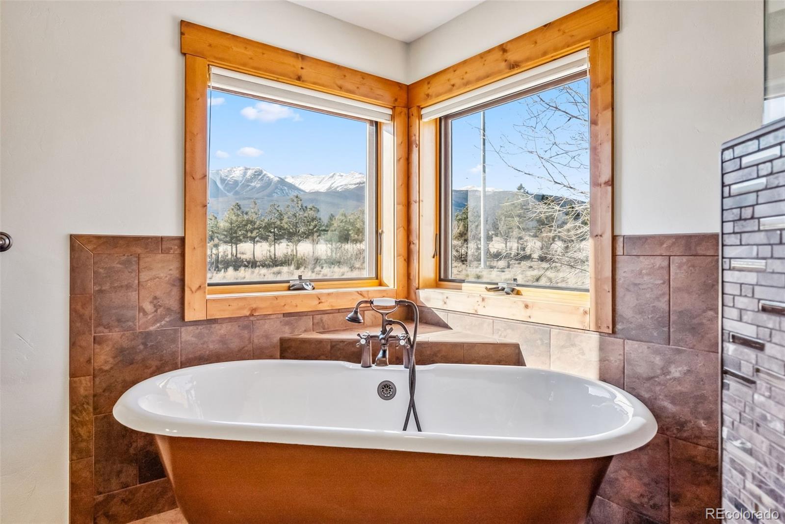 MLS Image #24 for 32220  county road 361 ,buena vista, Colorado