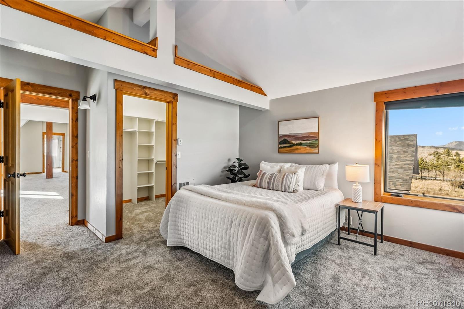 MLS Image #28 for 32220  county road 361 ,buena vista, Colorado