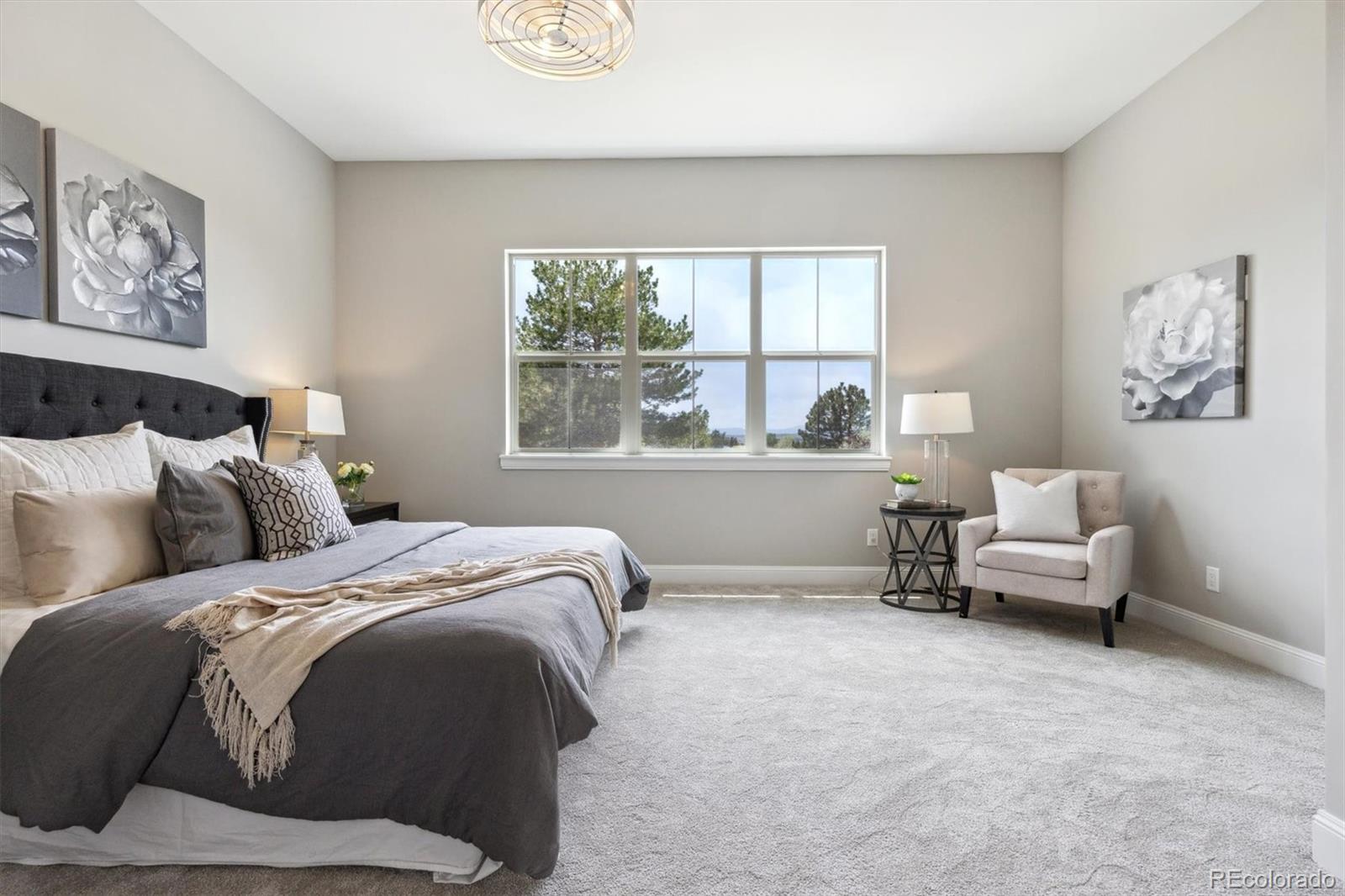 MLS Image #18 for 7778  windwood way,parker, Colorado