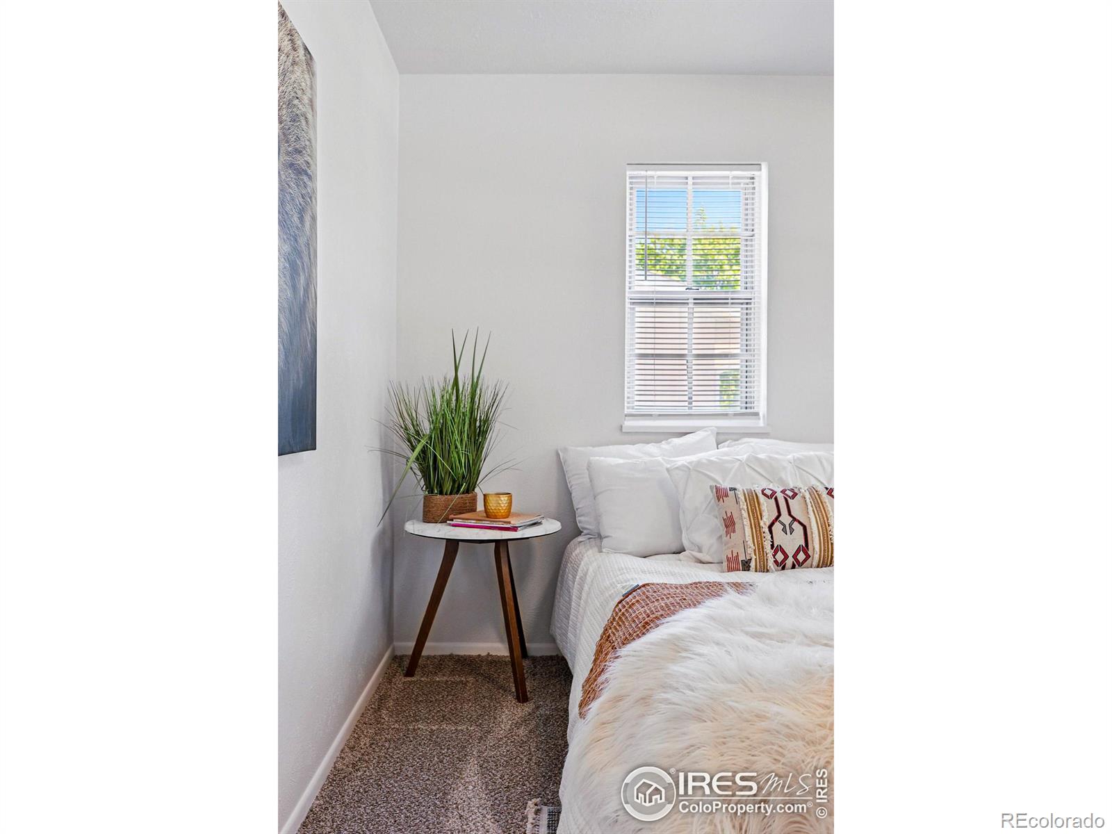 MLS Image #22 for 1805 w 22nd street,loveland, Colorado