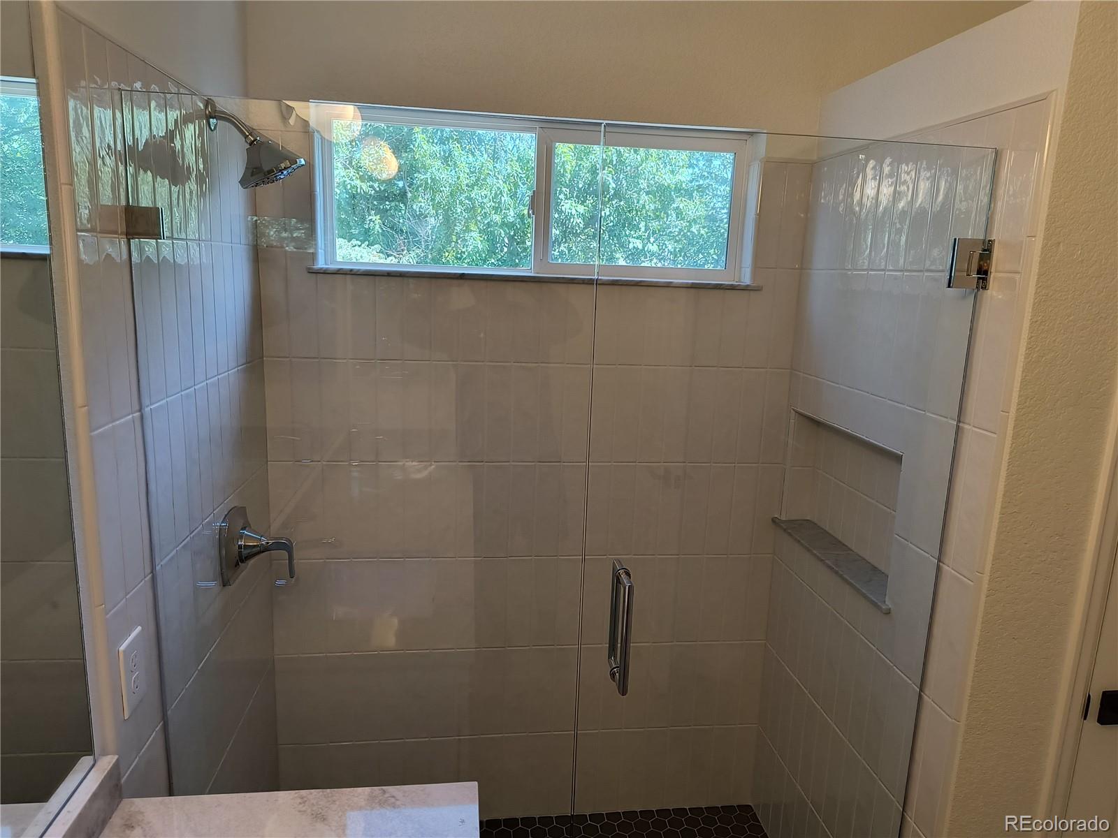 MLS Image #18 for 10538  tiger chase ,lone tree, Colorado