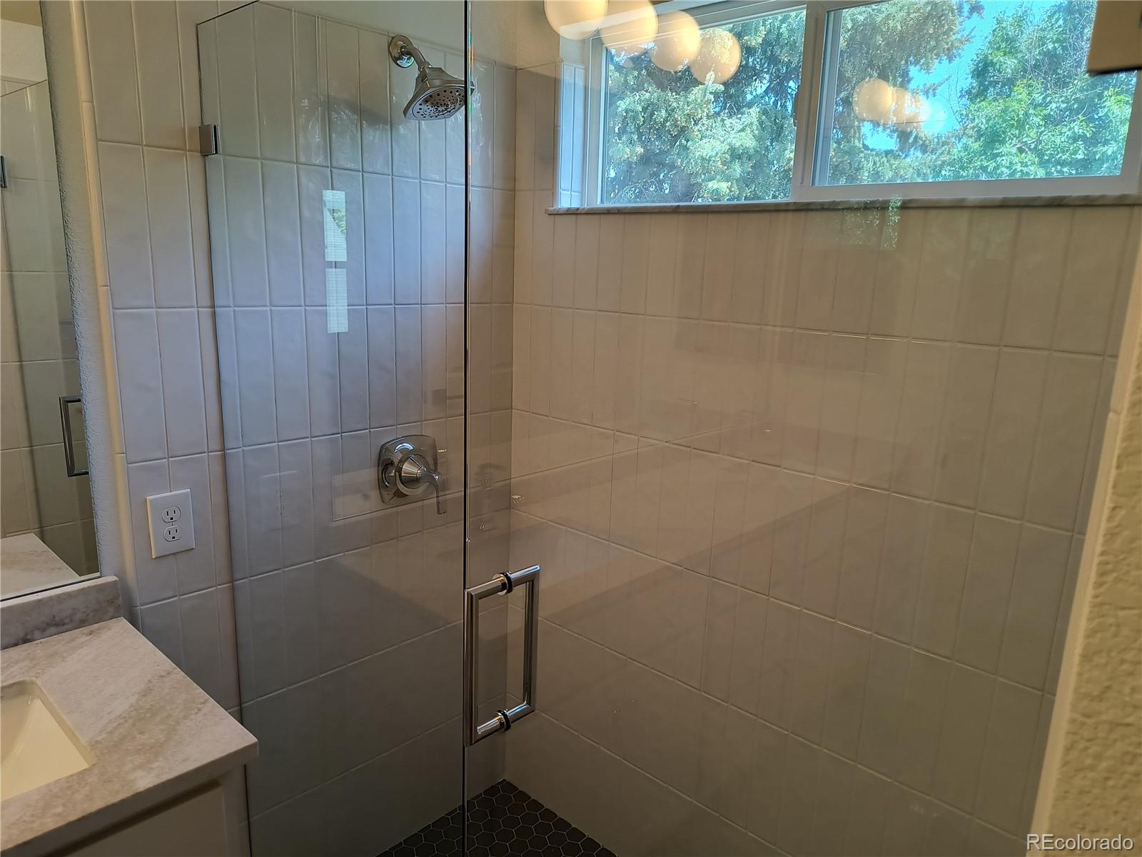 MLS Image #19 for 10538  tiger chase ,lone tree, Colorado