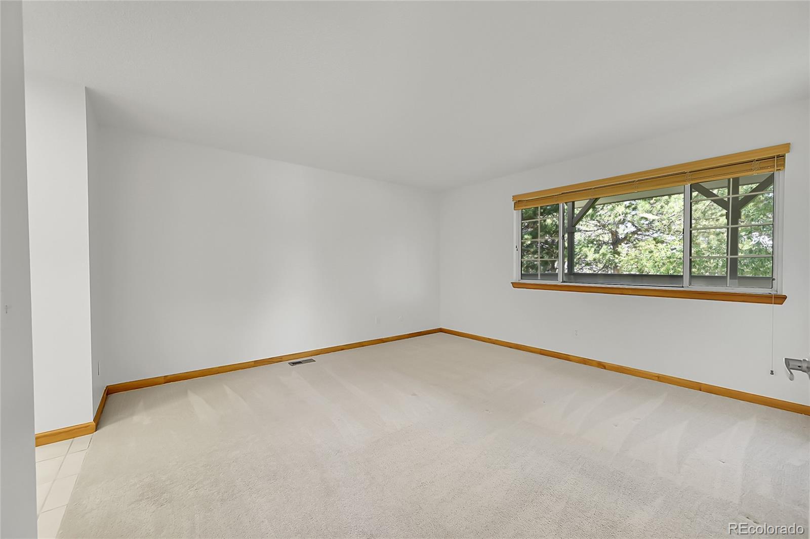 MLS Image #13 for 10369 e red mountain,littleton, Colorado