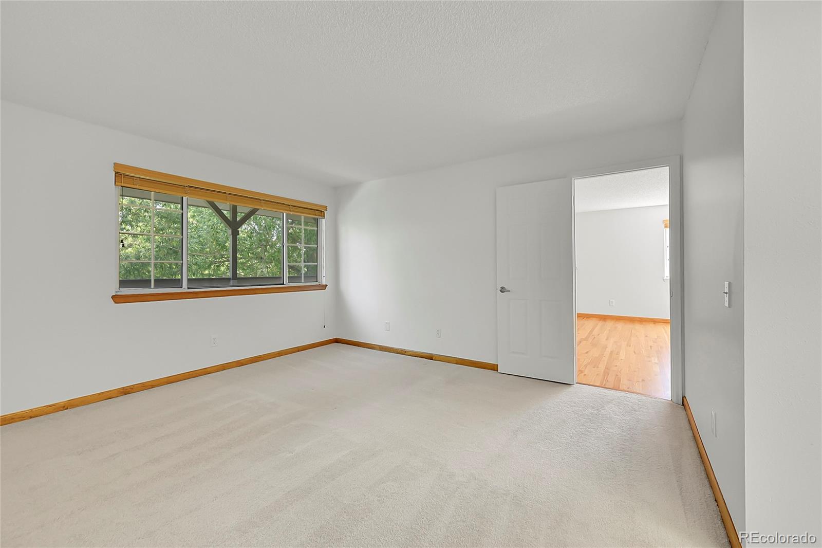 MLS Image #15 for 10369 e red mountain,littleton, Colorado