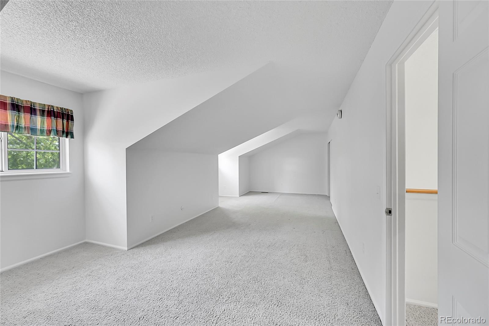 MLS Image #21 for 10369 e red mountain,littleton, Colorado