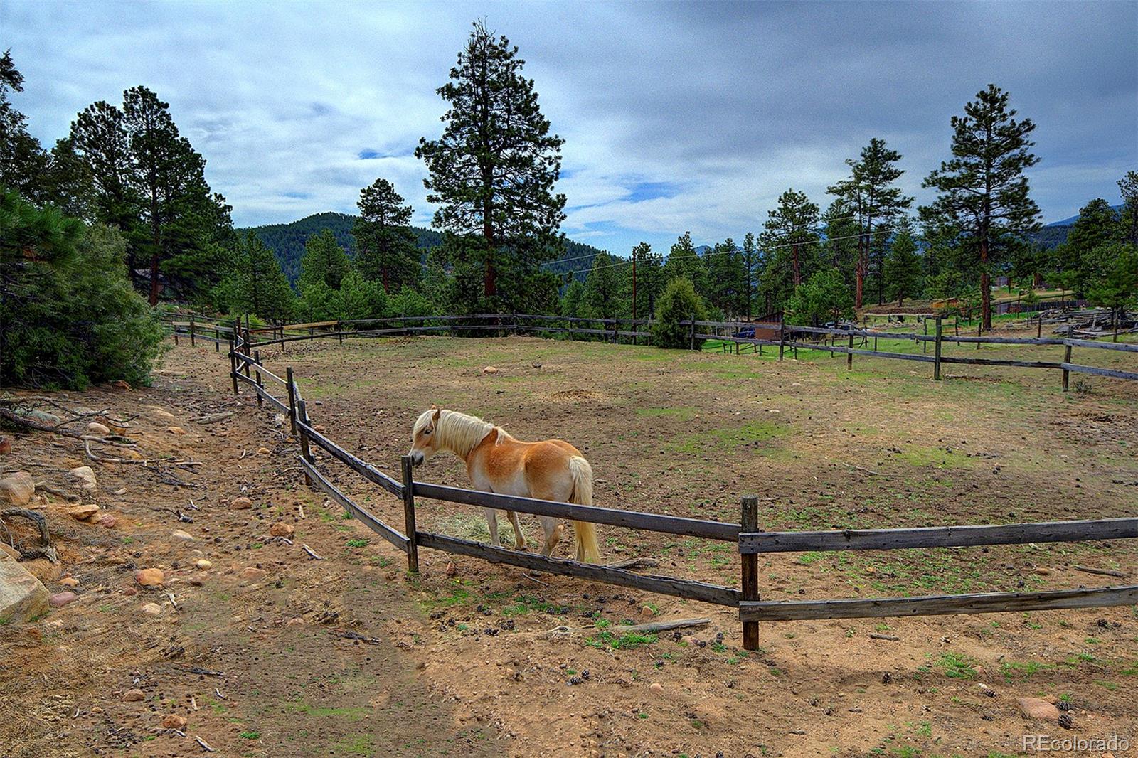 MLS Image #2 for 114  star lane,bailey, Colorado