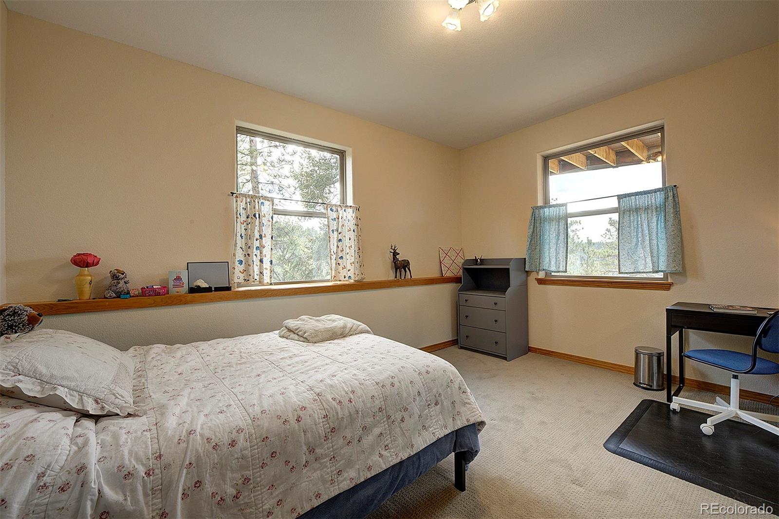MLS Image #27 for 114  star lane,bailey, Colorado
