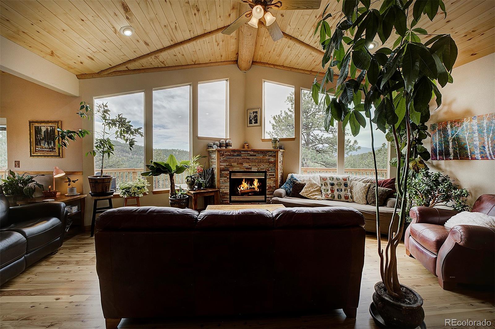 MLS Image #8 for 114  star lane,bailey, Colorado