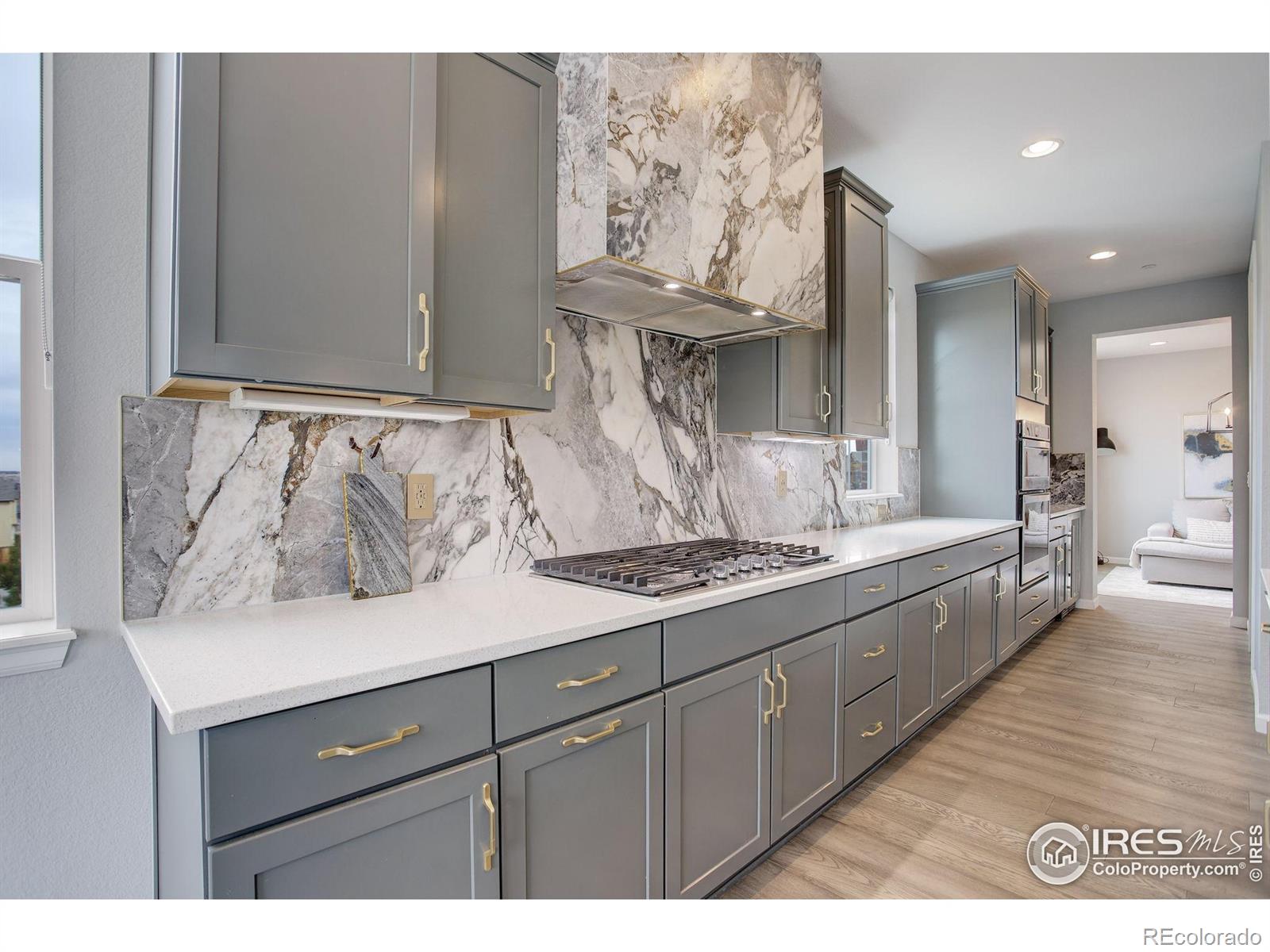 MLS Image #3 for 12917  fox street,broomfield, Colorado