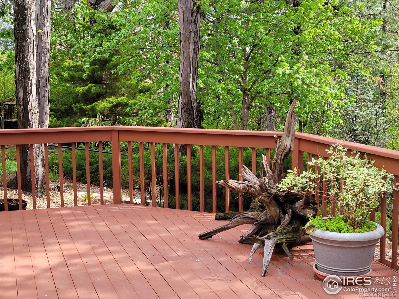 MLS Image #27 for 4311  pali way,boulder, Colorado
