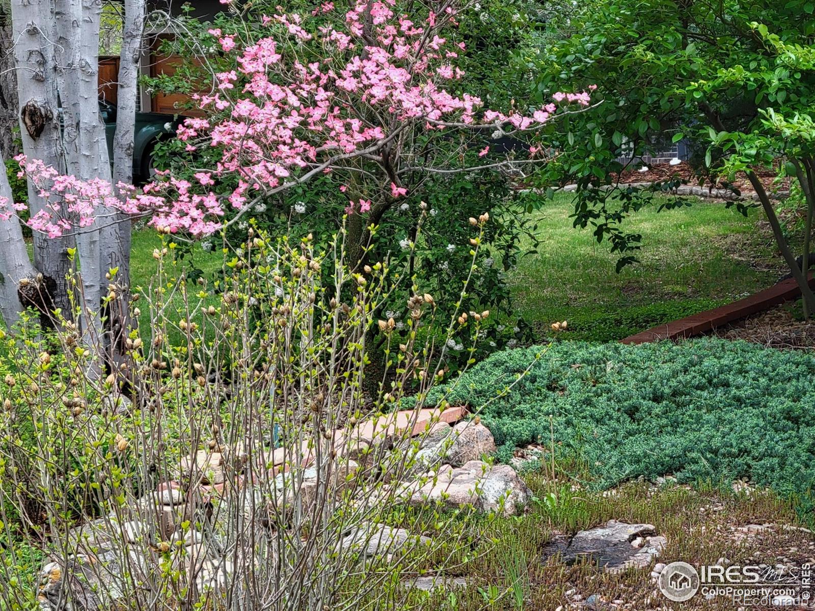 MLS Image #30 for 4311  pali way,boulder, Colorado
