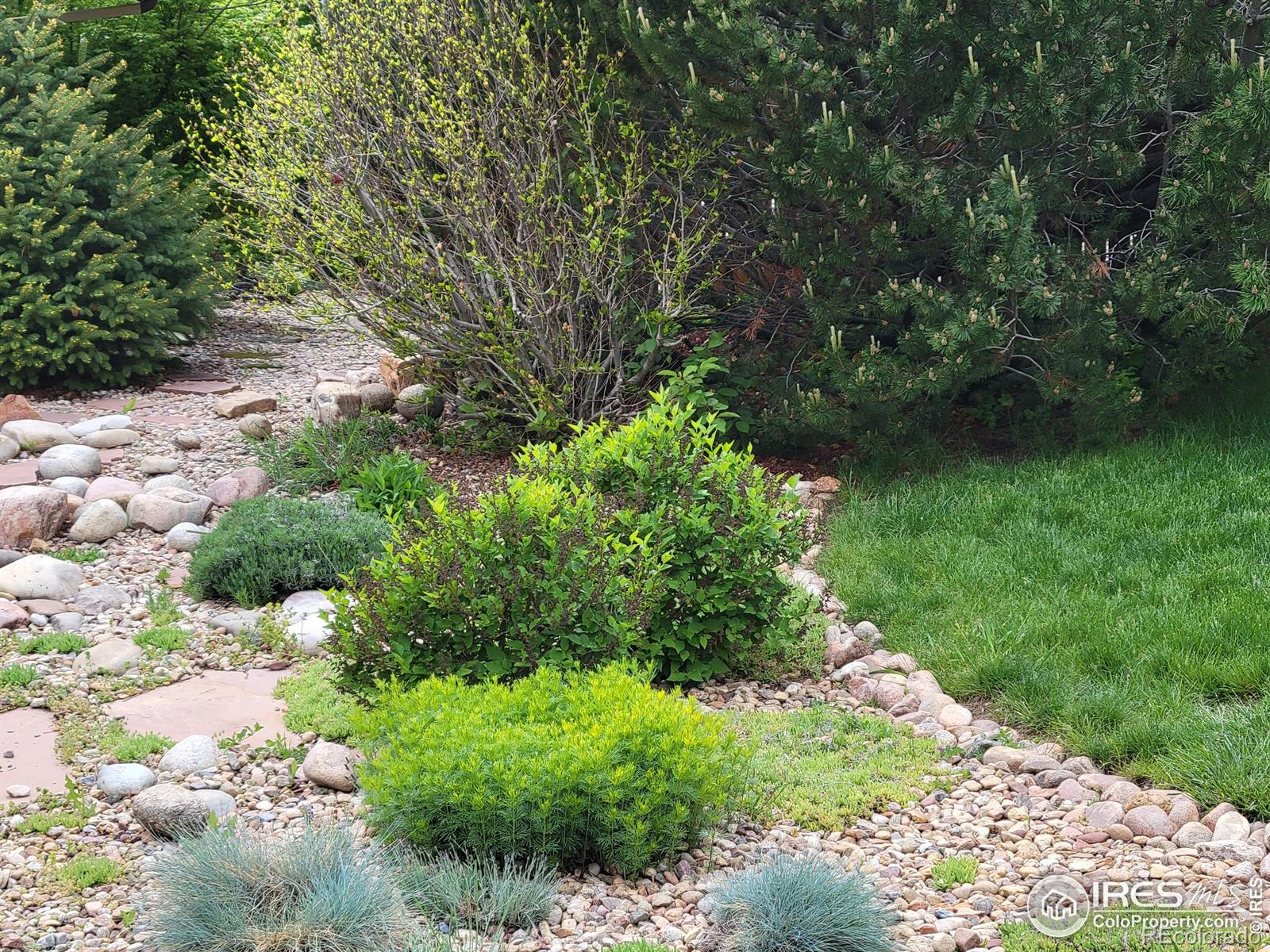 MLS Image #37 for 4311  pali way,boulder, Colorado
