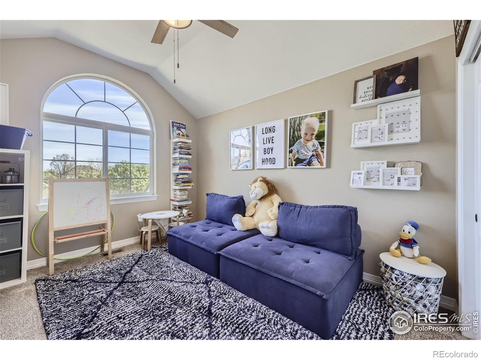 MLS Image #23 for 6212  saddleback avenue,firestone, Colorado