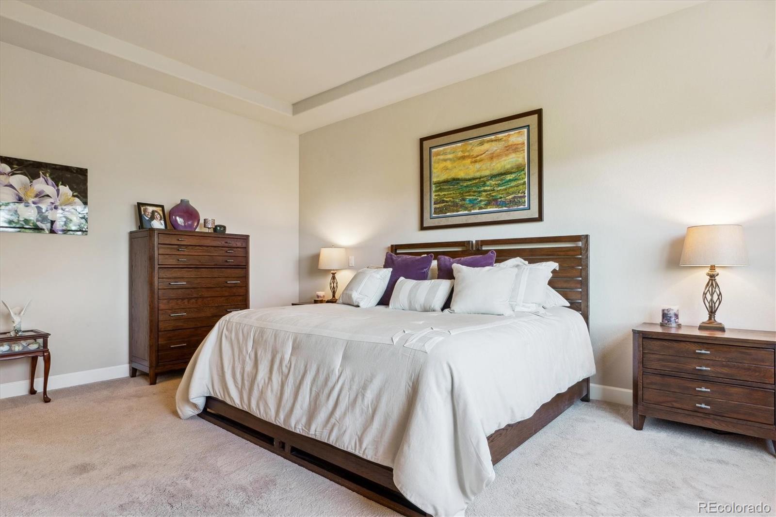 MLS Image #21 for 438  galaxy drive,castle rock, Colorado