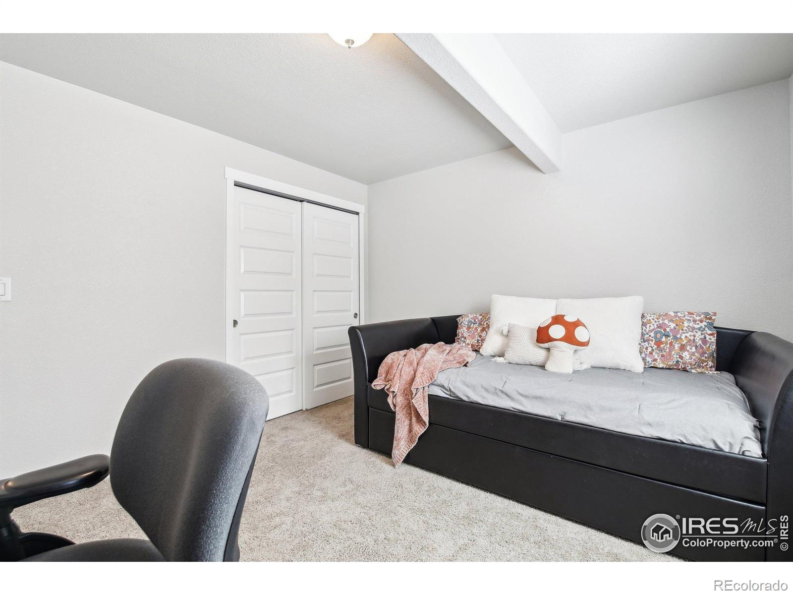MLS Image #24 for 1471  sabin court,berthoud, Colorado
