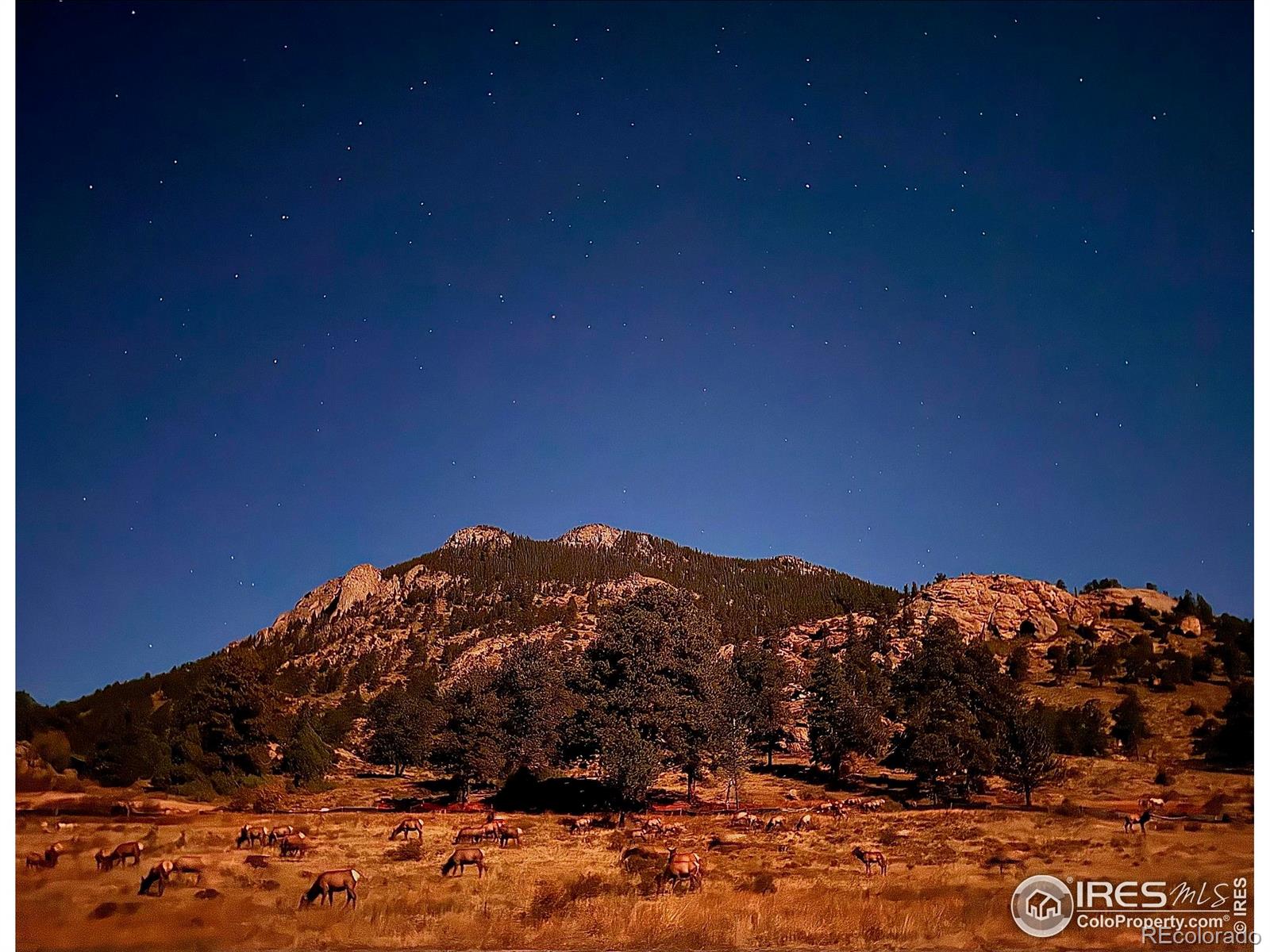 MLS Image #38 for 249  virginia drive,estes park, Colorado