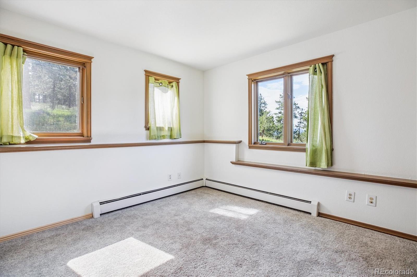 MLS Image #11 for 5939 s skyline drive,evergreen, Colorado