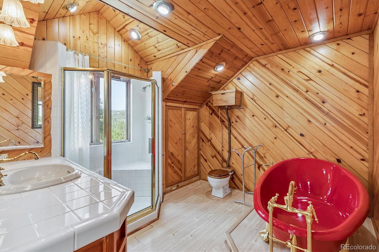 MLS Image #17 for 5939 s skyline drive,evergreen, Colorado