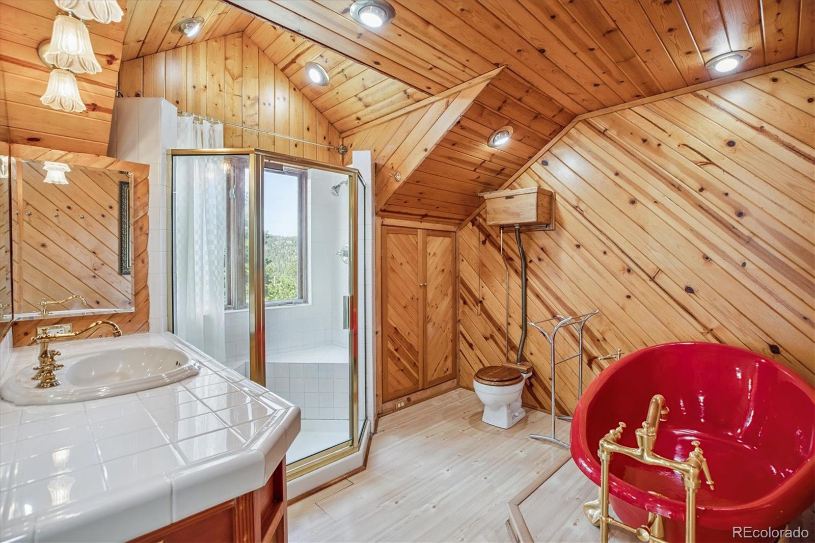MLS Image #18 for 5939 s skyline drive,evergreen, Colorado