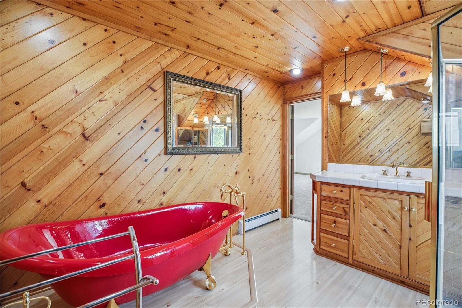 MLS Image #19 for 5939 s skyline drive,evergreen, Colorado