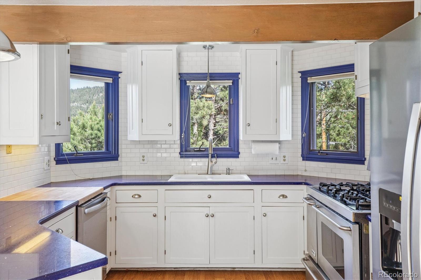 MLS Image #8 for 5939 s skyline drive,evergreen, Colorado