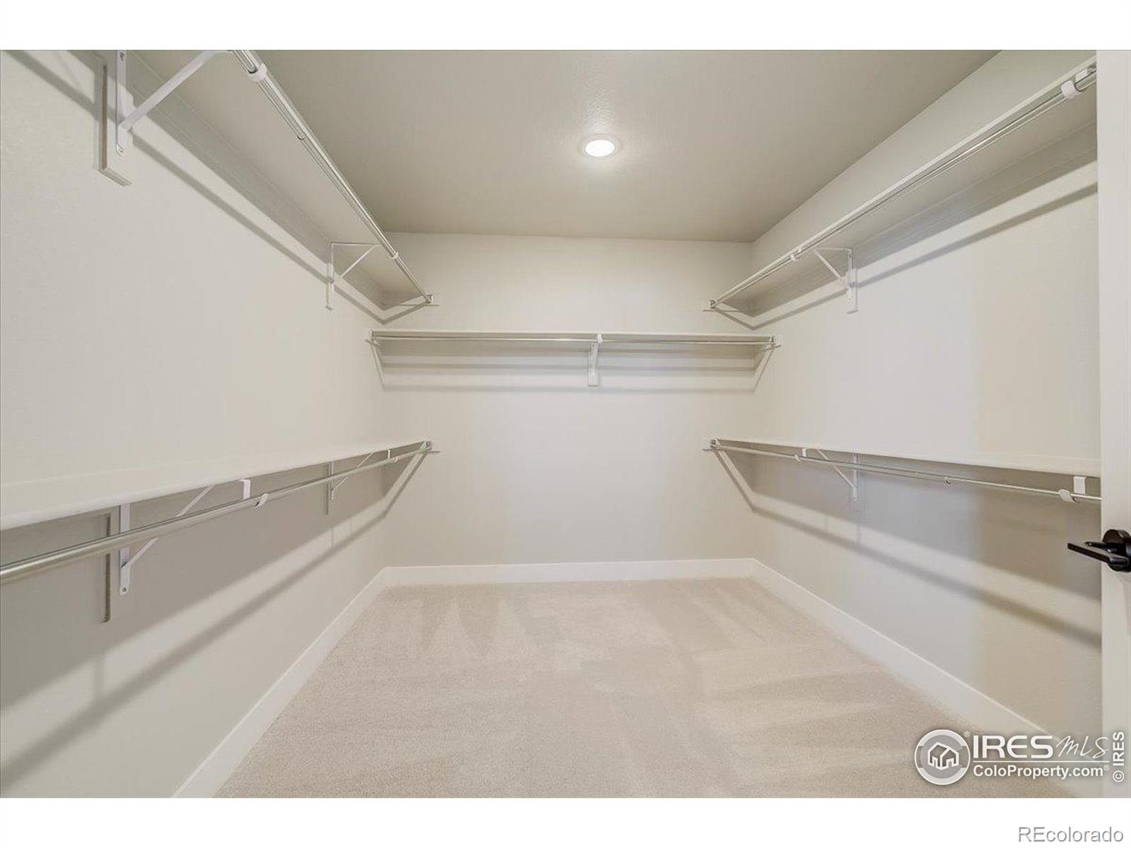 MLS Image #22 for 5962  rendezvous parkway,timnath, Colorado